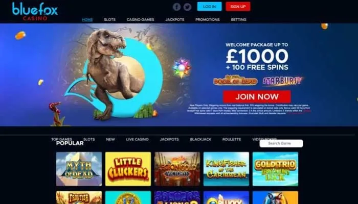 Bluefox Casino Review Header